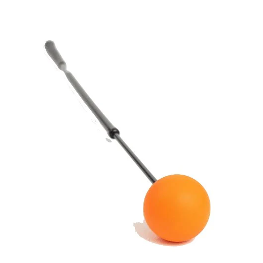 Orange Whip Trainer - Image 6