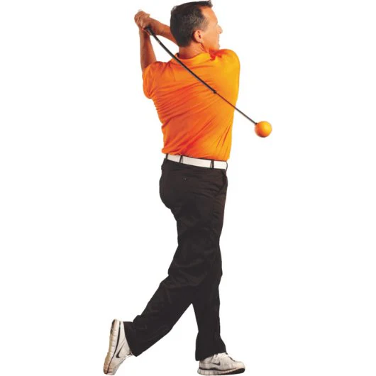 Orange Whip Trainer - Image 7